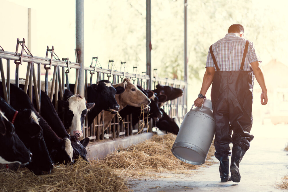 Challenges and outlooks – Future of the Hungarian dairy sector
